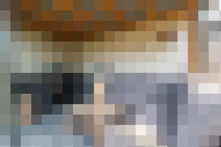 Cederlaan 13 Veenendaal thumbnail 52