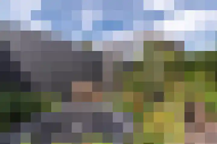 Cederlaan 13 Veenendaal thumbnail 56