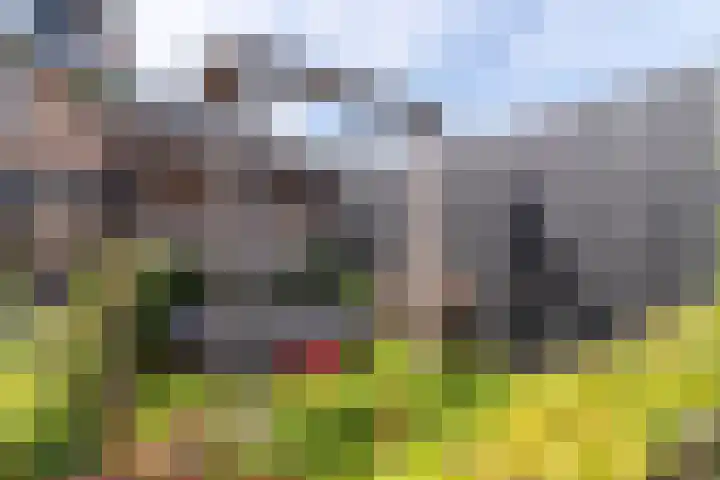 Cederlaan 13 Veenendaal thumbnail 57