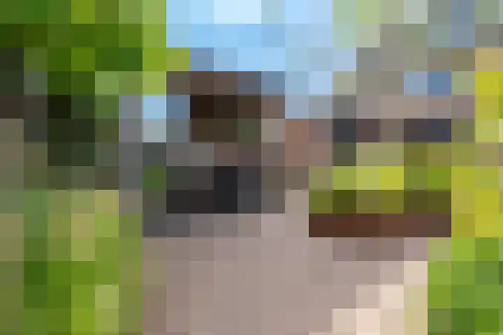 Cederlaan 13 Veenendaal thumbnail 59