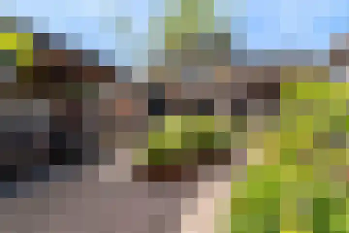 Cederlaan 13 Veenendaal thumbnail 60
