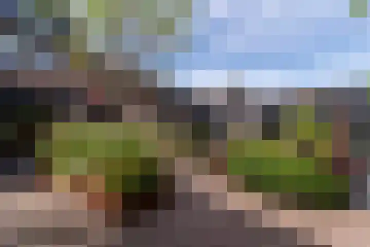 Cederlaan 13 Veenendaal thumbnail 61