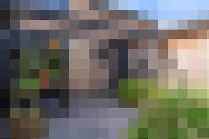 Cederlaan 13 Veenendaal thumbnail 62