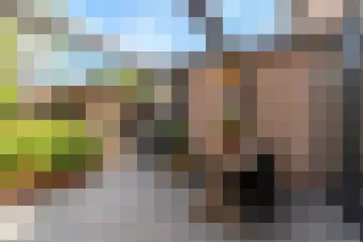 Cederlaan 13 Veenendaal thumbnail 64