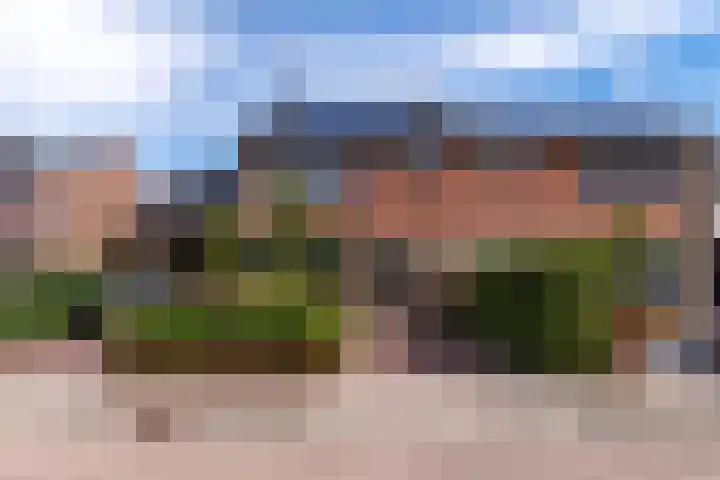 Cederlaan 13 Veenendaal thumbnail 69