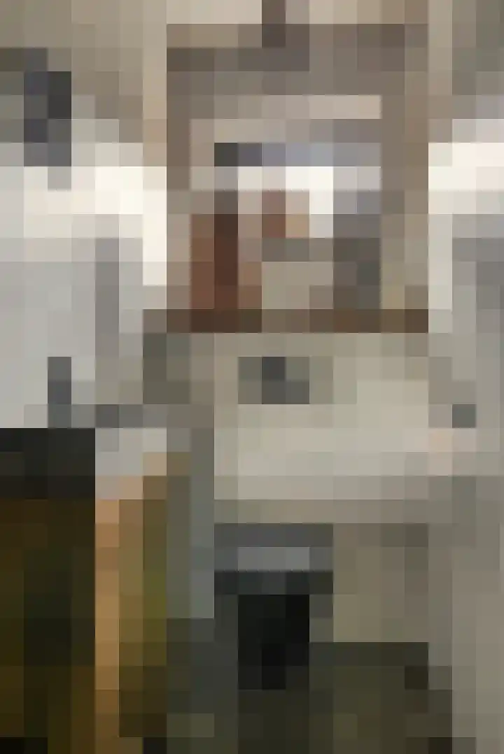 Cederlaan 13 Veenendaal thumbnail 8