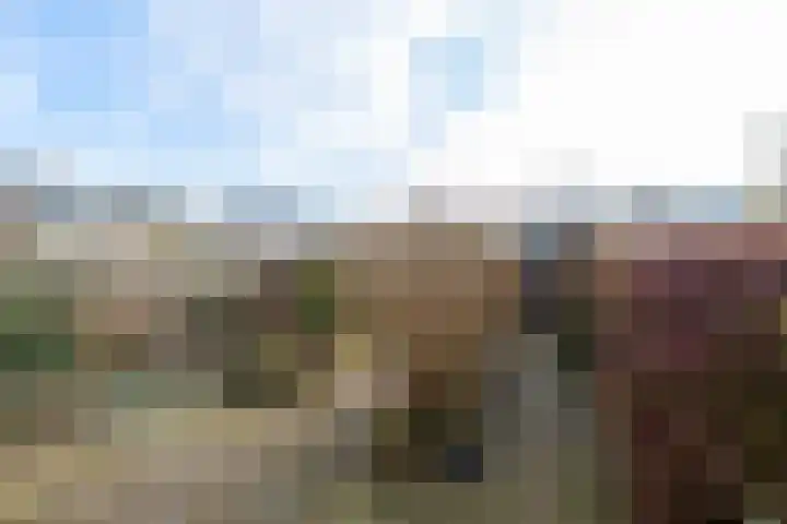Cederlaan 18 Heerhugowaard thumbnail 31