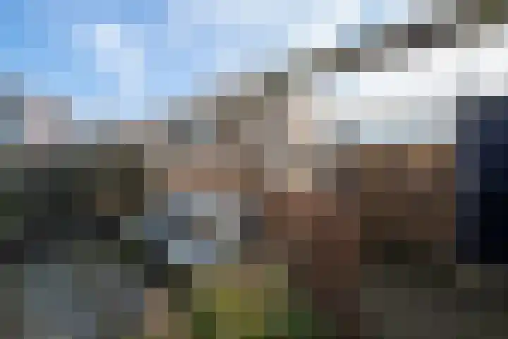Cederlaan 18 Heerhugowaard thumbnail 34