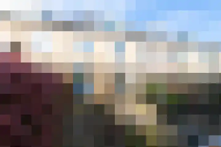 Cederlaan 18 Heerhugowaard thumbnail 36