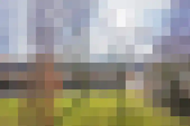 Cederlaan 18 Heerhugowaard thumbnail 39