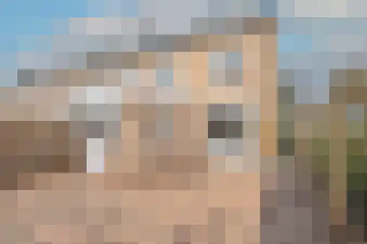 Cederlaan 30 Heerhugowaard thumbnail 35