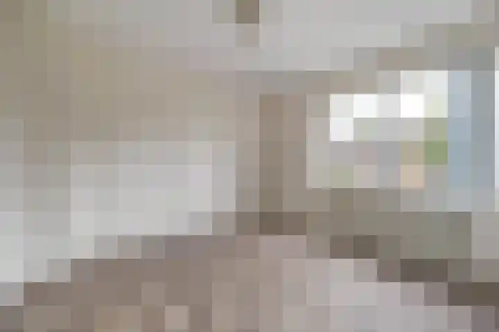 Cederlaan 34 Zwolle thumbnail 12