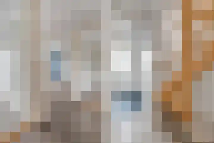 Cederlaan 34 Zwolle thumbnail 16