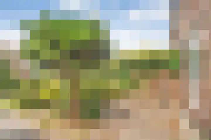 Cederlaan 34 Zwolle thumbnail 20