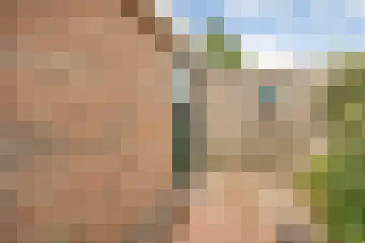 Cederlaan 34 Zwolle thumbnail 21