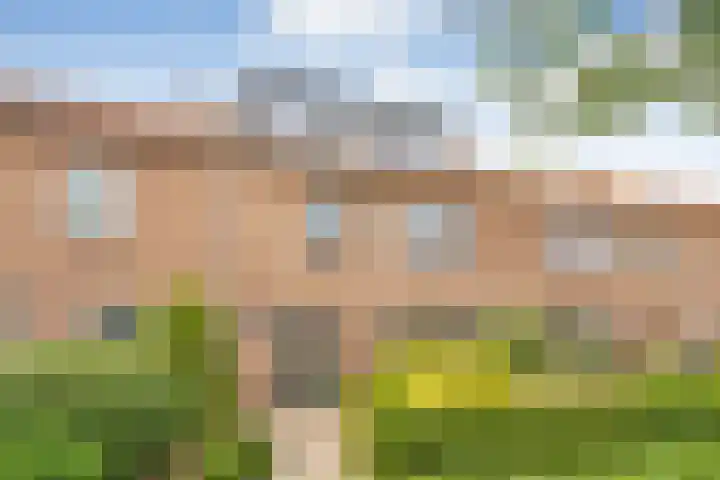 Cederlaan 34 Zwolle thumbnail 22