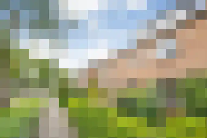 Cederlaan 34 Zwolle thumbnail 23