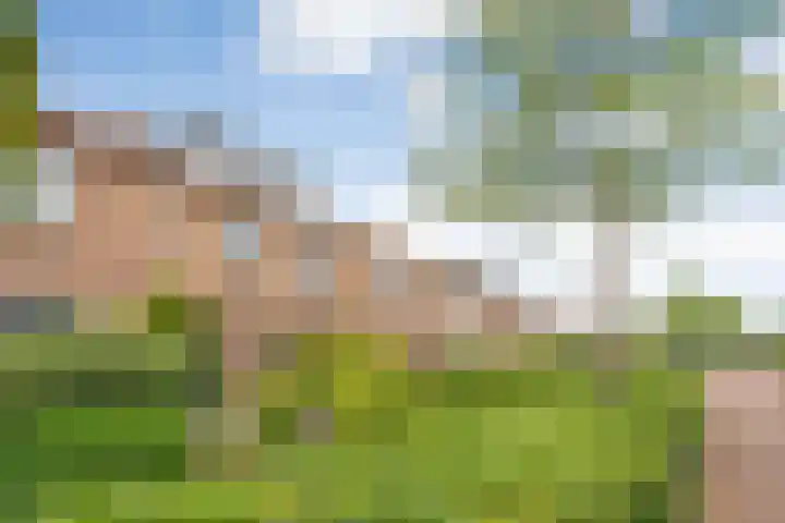 Cederlaan 34 Zwolle thumbnail 24