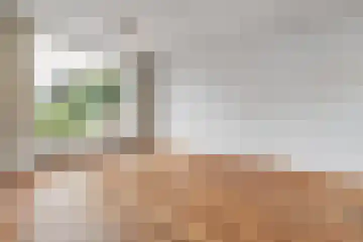 Cederlaan 34 Zwolle thumbnail 4