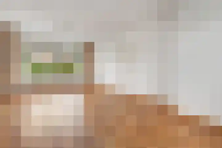 Cederlaan 34 Zwolle thumbnail 5