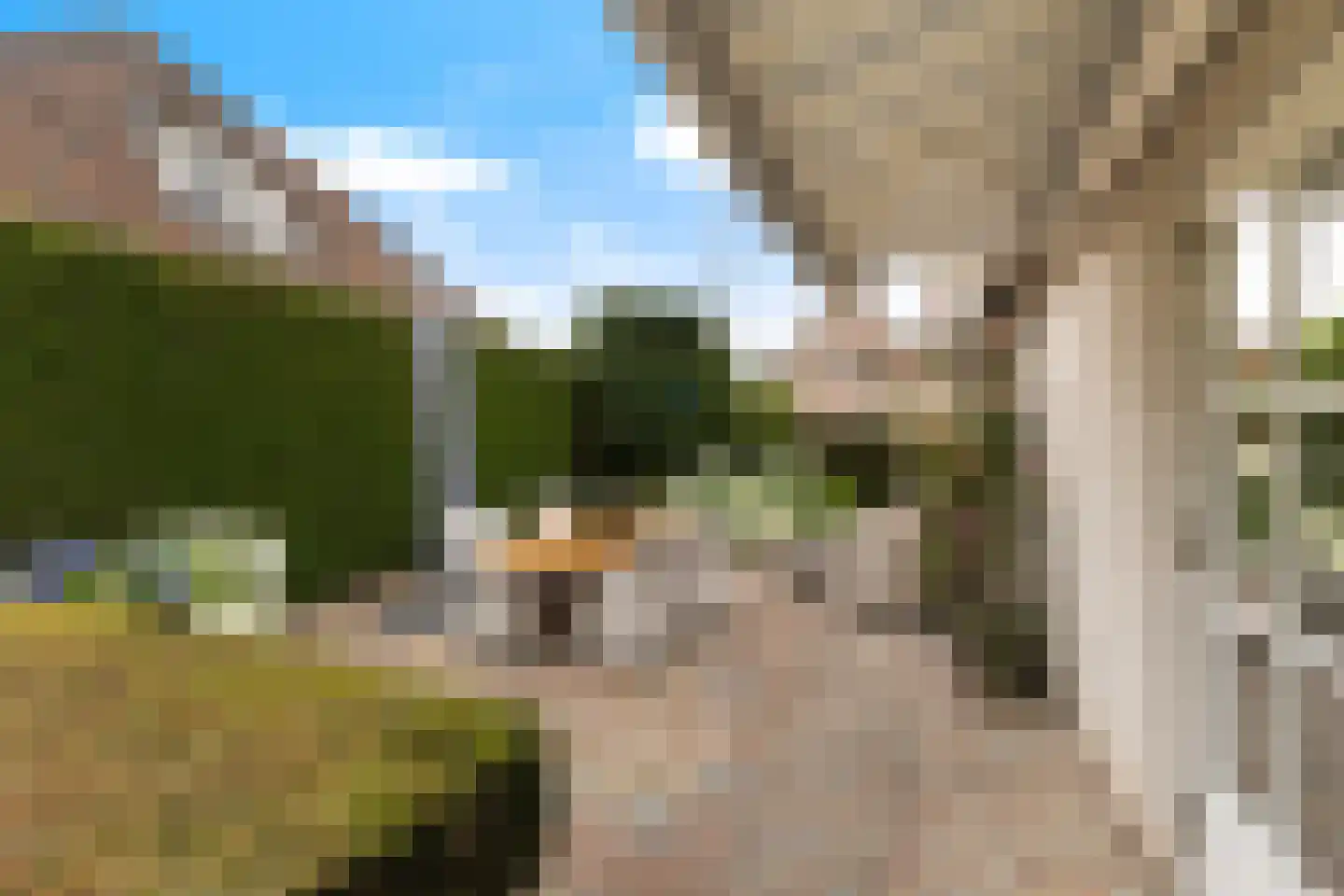 Cederlaan 35 Dordrecht thumbnail 22
