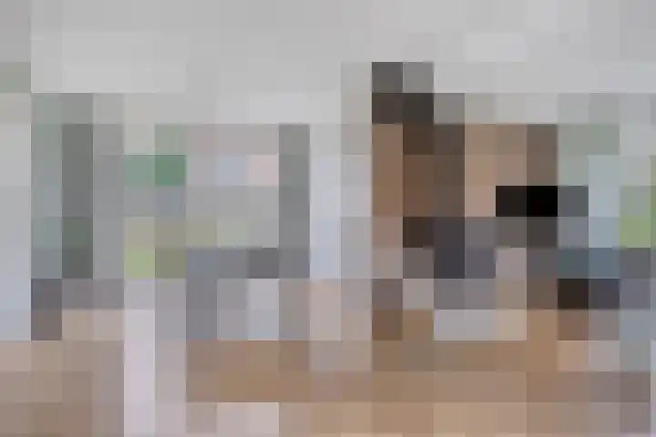 Cederlaan 43 Zwolle thumbnail 13