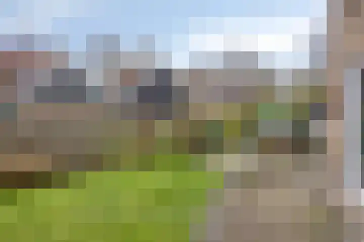 Cederlaan 43 Zwolle thumbnail 32