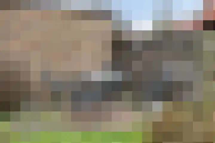 Cederlaan 43 Zwolle thumbnail 33