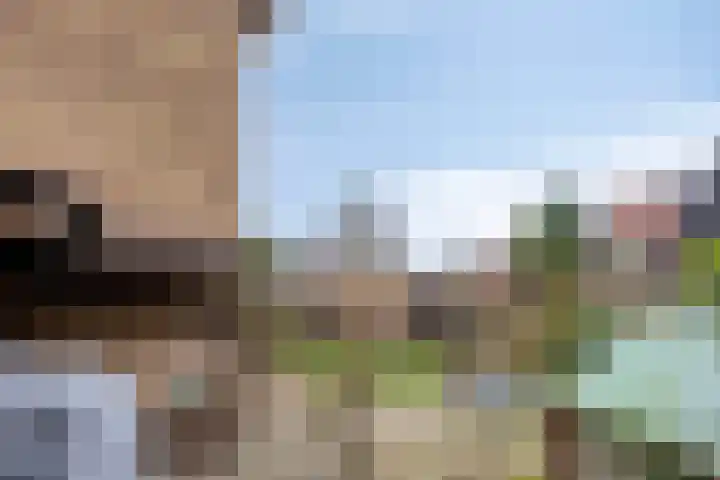 Cederlaan 43 Zwolle thumbnail 35