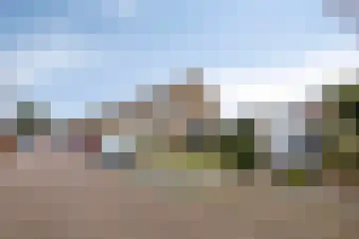 Cederlaan 43 Zwolle thumbnail 39