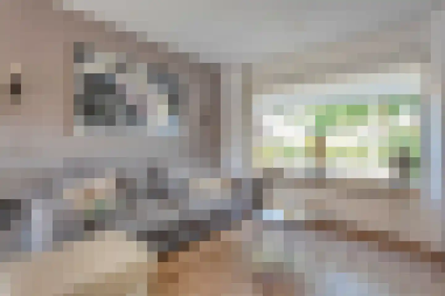 Cederlaan 48 Zwolle thumbnail 11