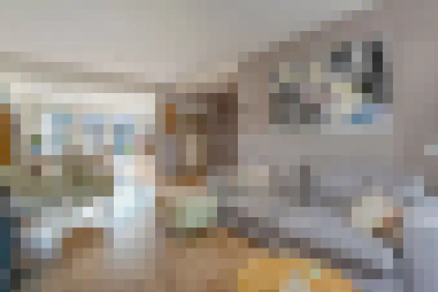 Cederlaan 48 Zwolle thumbnail 12
