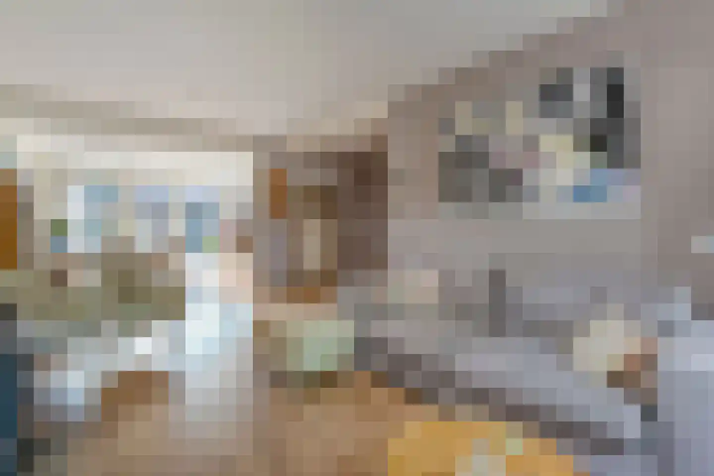 Cederlaan 48 Zwolle thumbnail 14