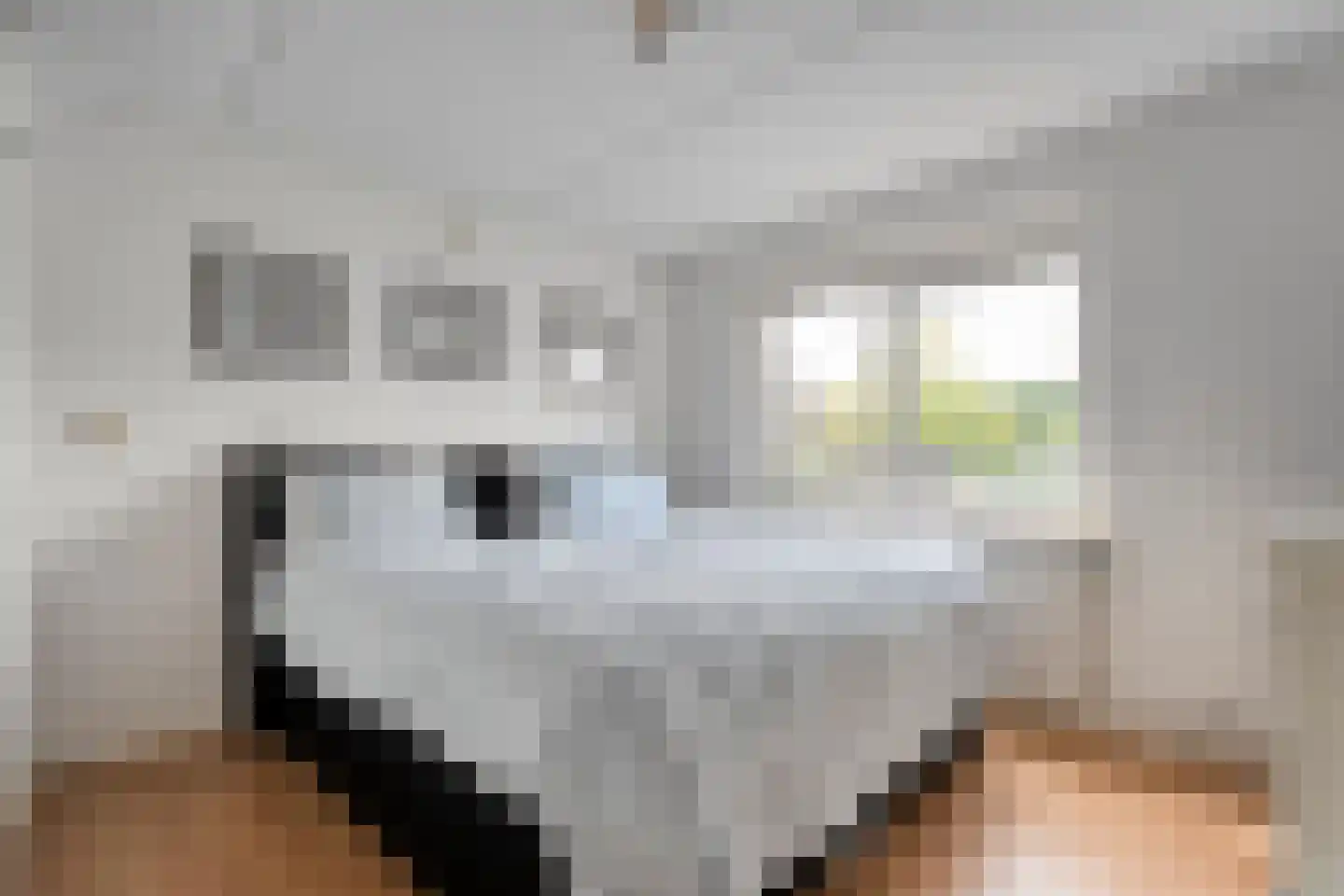Cederlaan 48 Zwolle thumbnail 28