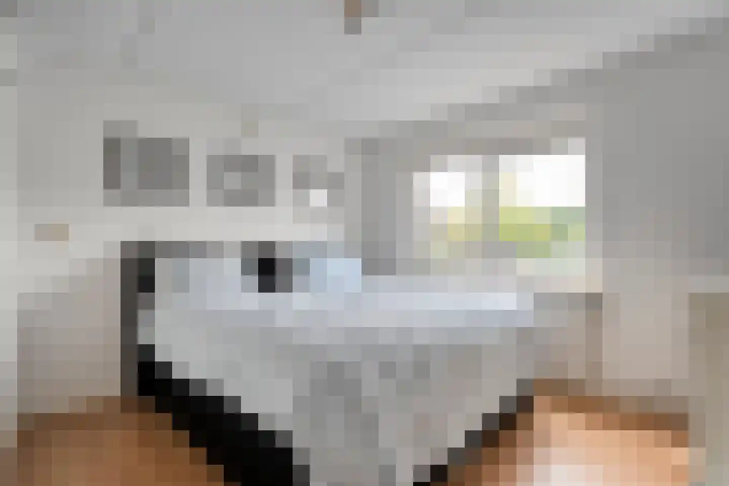 Cederlaan 48 Zwolle thumbnail 30