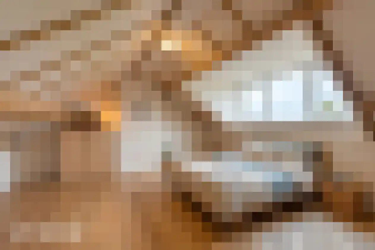 Cederlaan 48 Zwolle thumbnail 36
