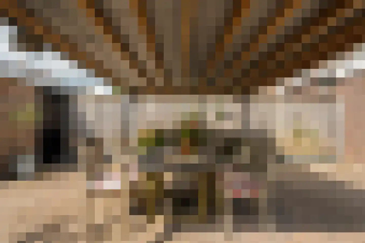Cederlaan 48 Zwolle thumbnail 39