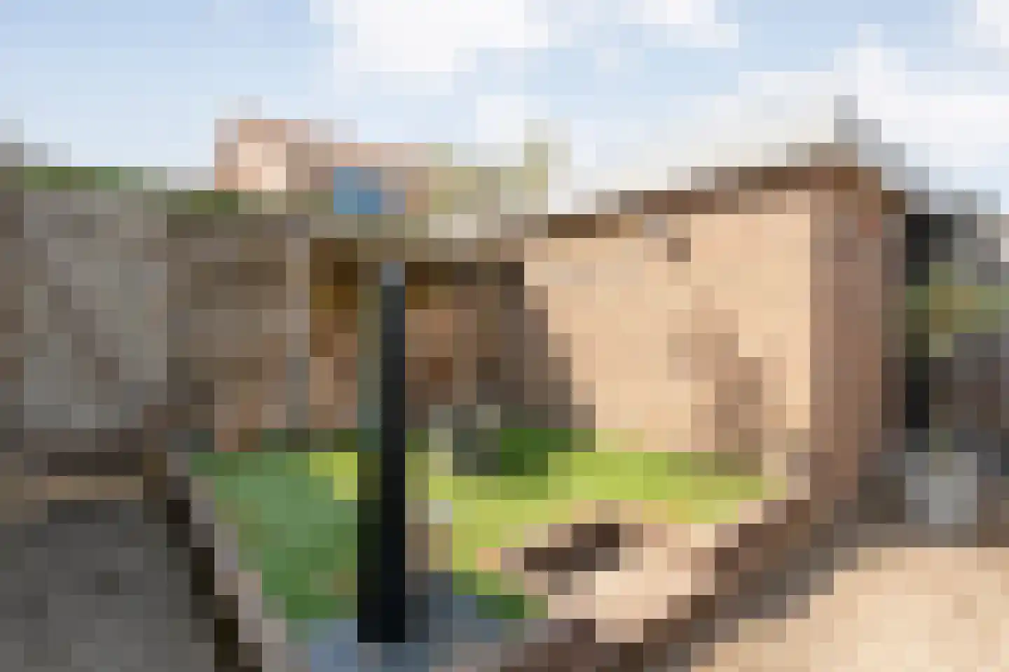 Cederlaan 48 Zwolle thumbnail 40
