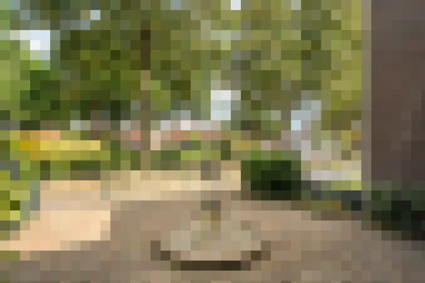Cederlaan 48 Zwolle thumbnail 6
