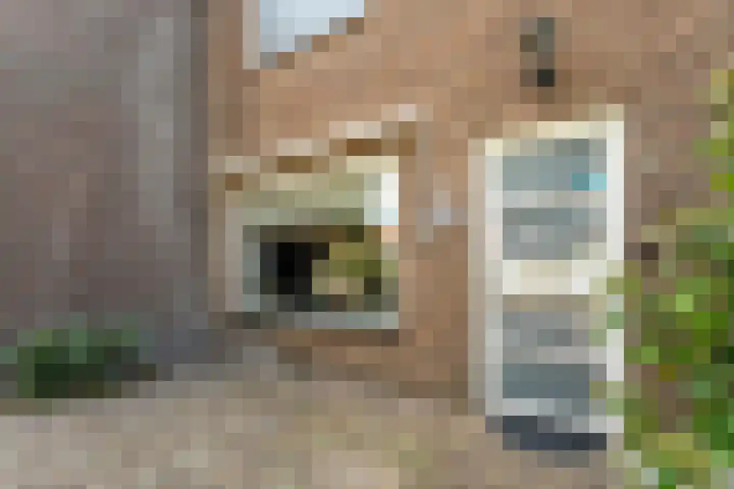 Cederlaan 48 Zwolle thumbnail 7