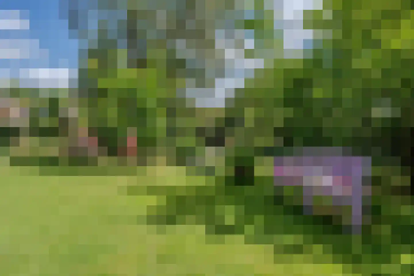 Cederlaan 5 Assen thumbnail 101