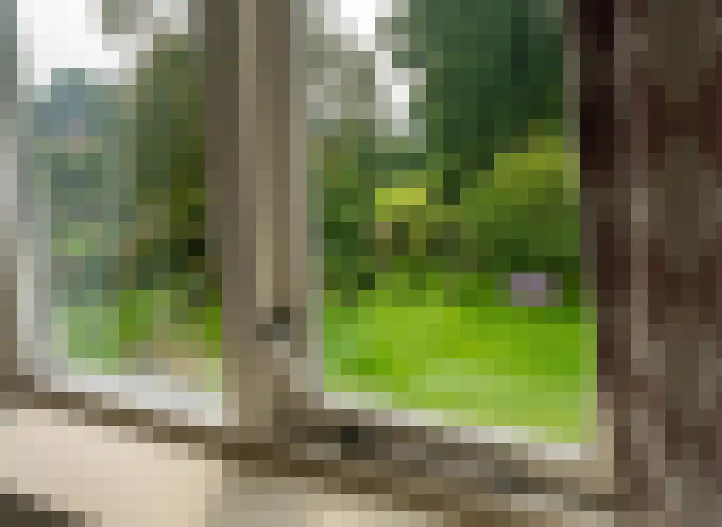 Cederlaan 5 Assen thumbnail 111