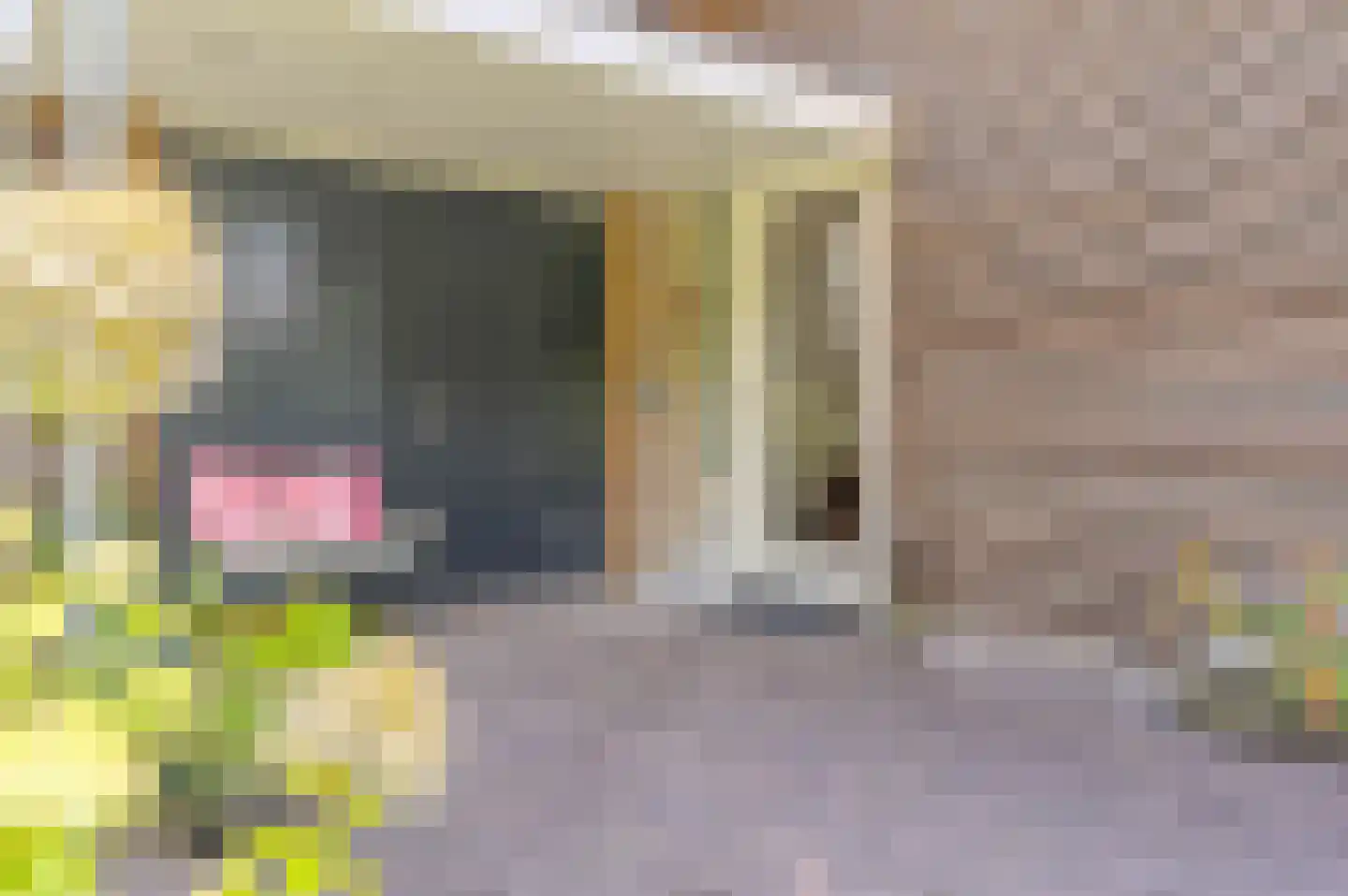 Cederlaan 5 Assen thumbnail 19