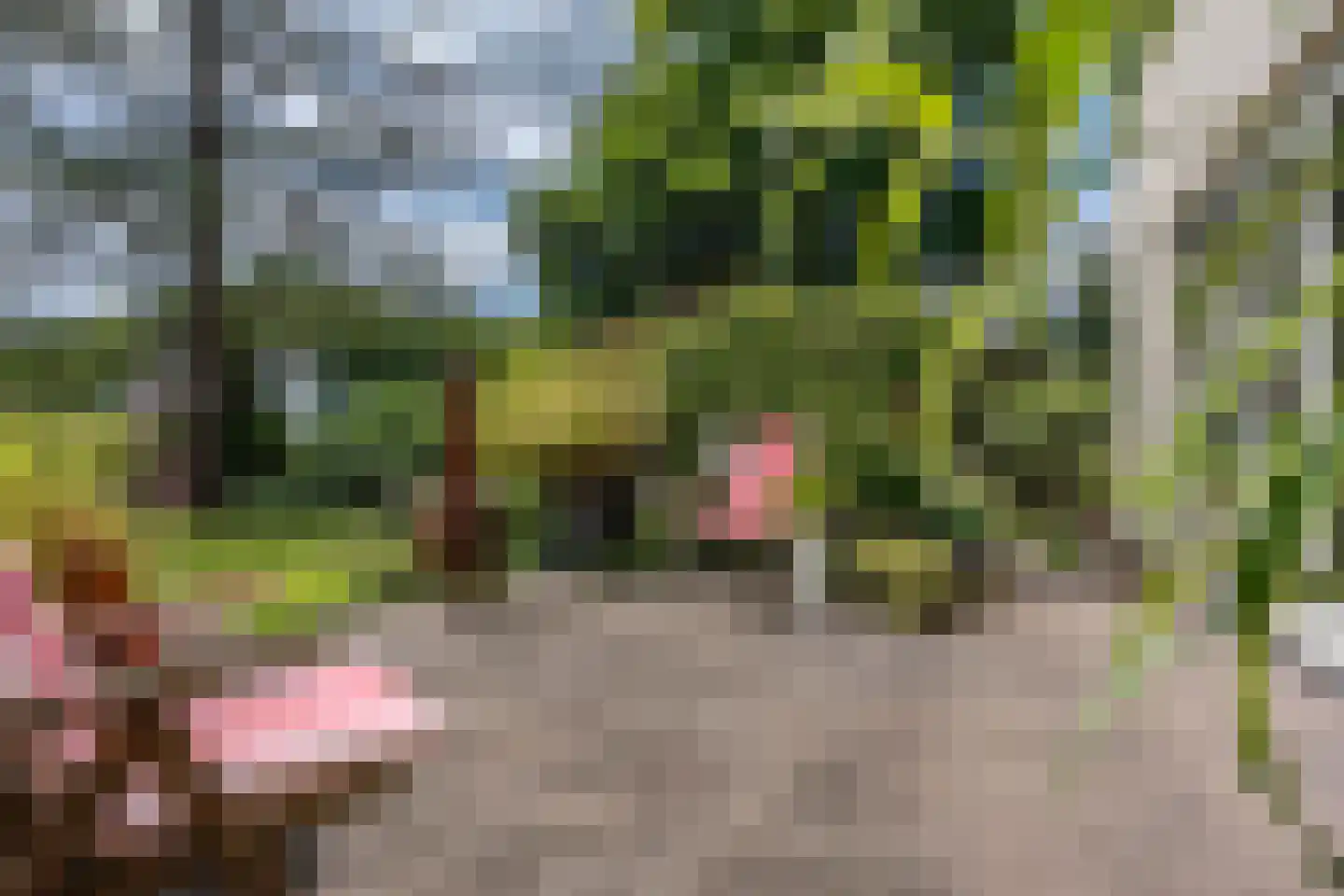 Cederlaan 5 Assen thumbnail 80