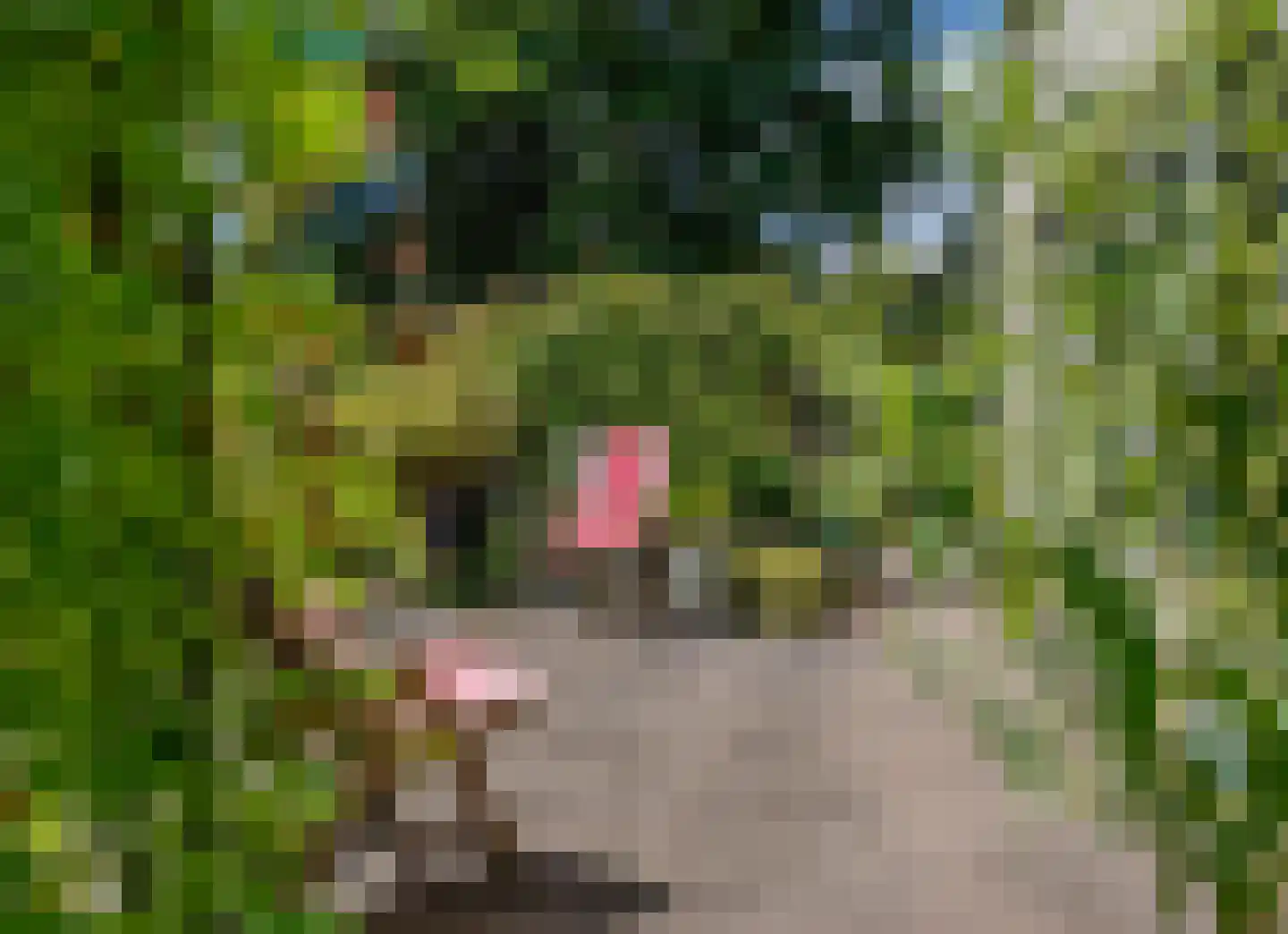 Cederlaan 5 Assen thumbnail 81