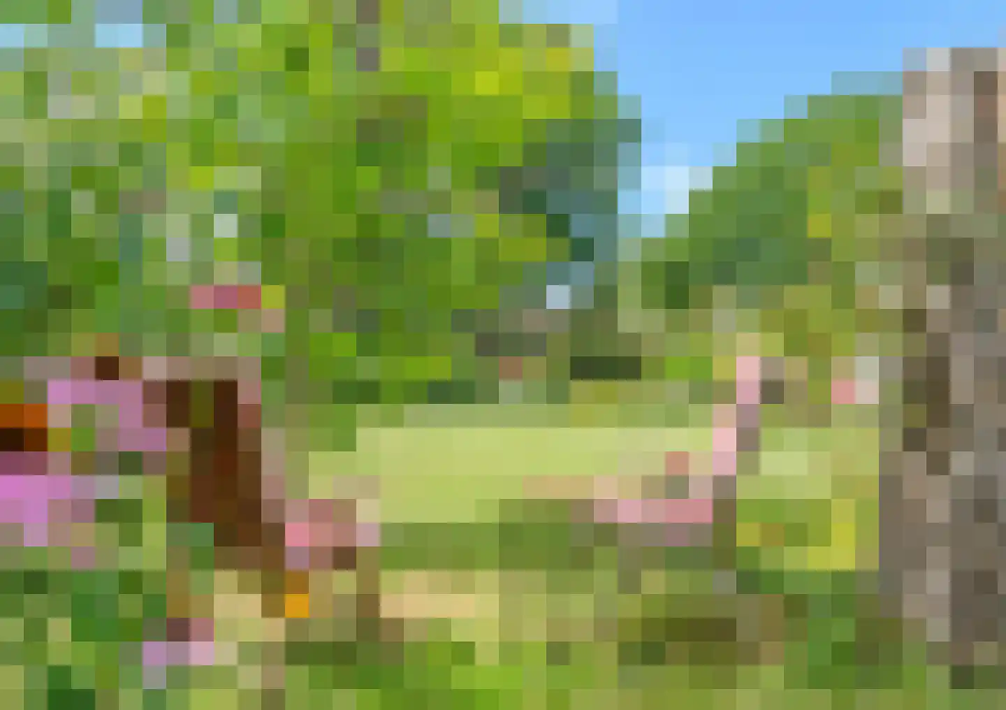 Cederlaan 5 Assen thumbnail 84