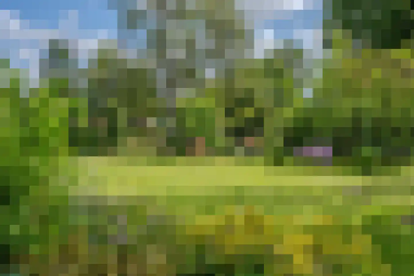 Cederlaan 5 Assen thumbnail 90