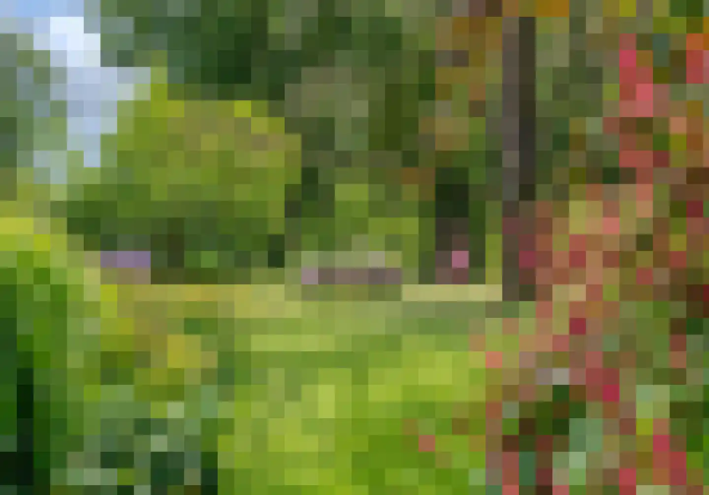 Cederlaan 5 Assen thumbnail 97