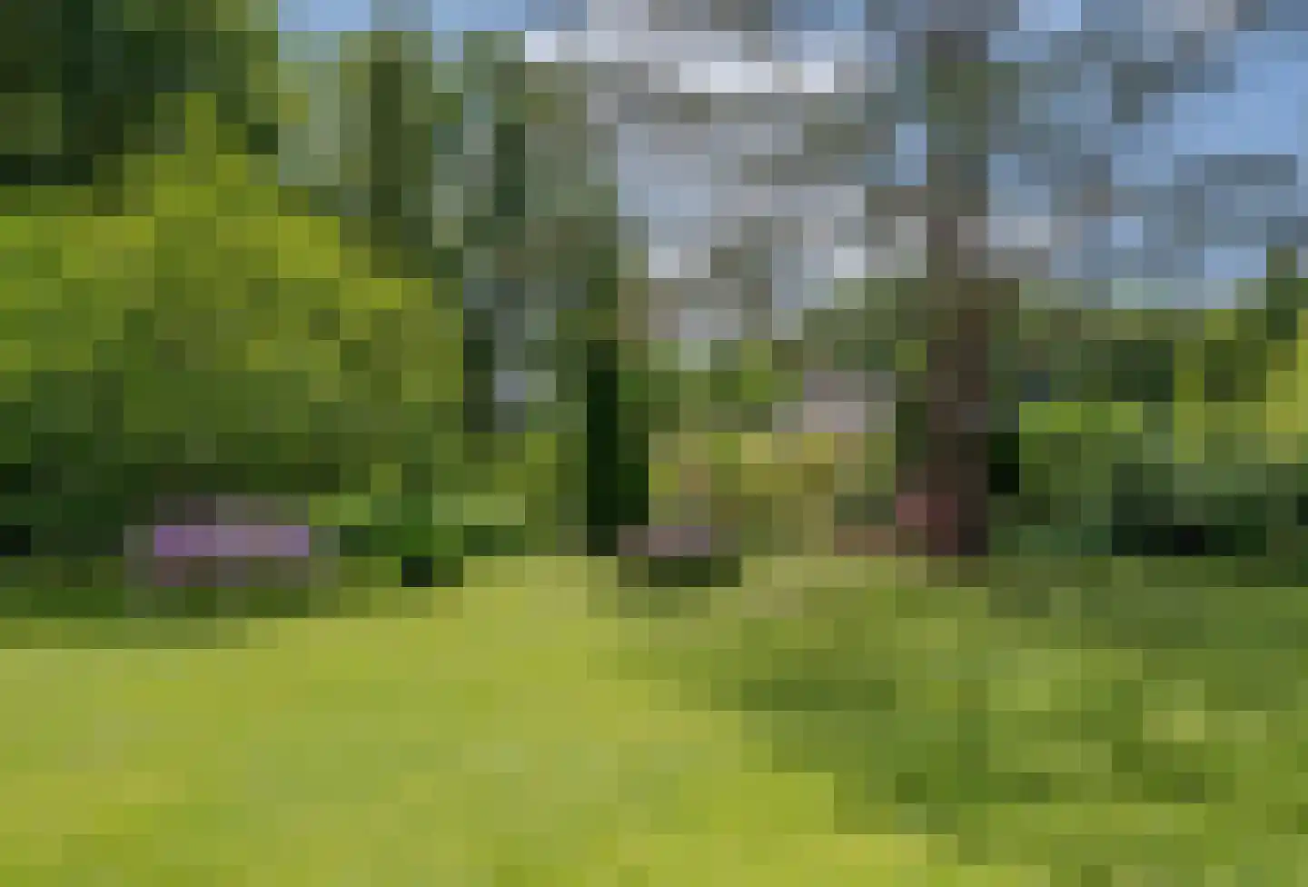 Cederlaan 5 Assen thumbnail 99