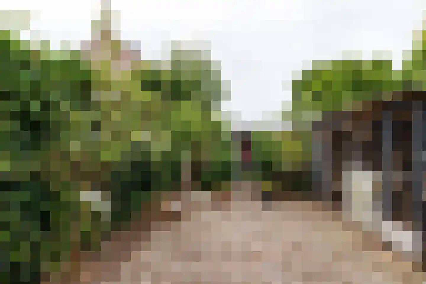 Cederlaan 5 Veenendaal thumbnail 15